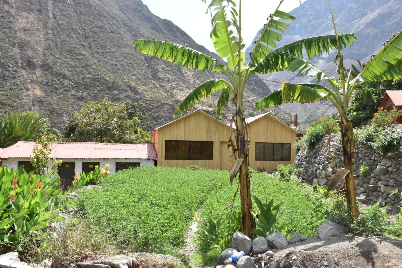 Oasis Paraiso Ecolodge Cabanaconde Exterior foto