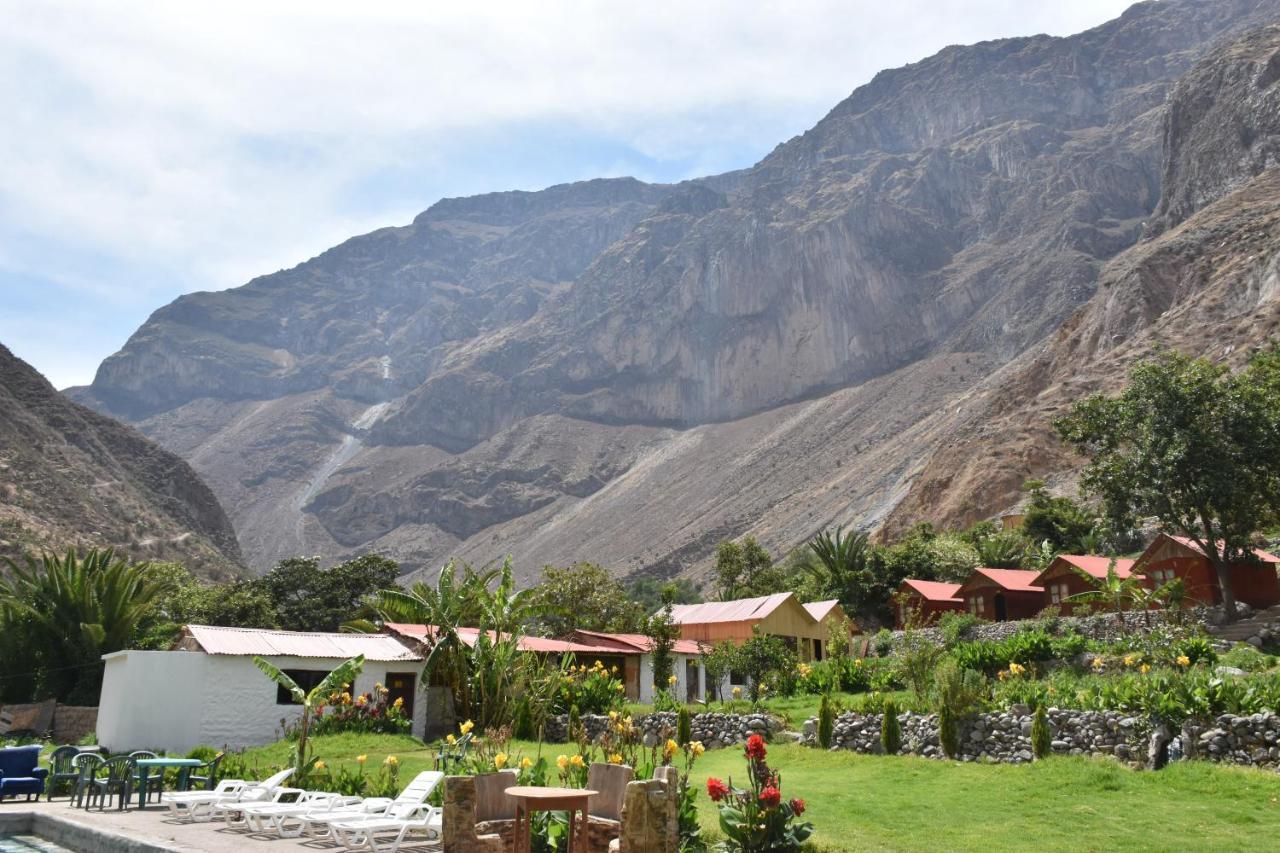 Oasis Paraiso Ecolodge Cabanaconde Exterior foto